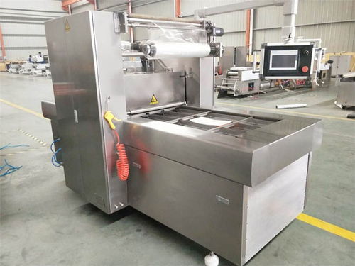 上海雙室擺蓋真空包裝機聯系電話 質量放心可靠，優選諸城廣元機械設備